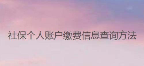 社保个人账户缴费信息查询方法