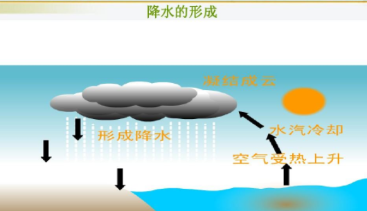 停止降雨后,地下水分水岭如何变化