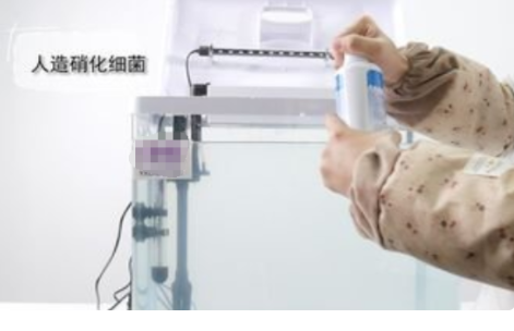 鱼缸怎么开缸养水