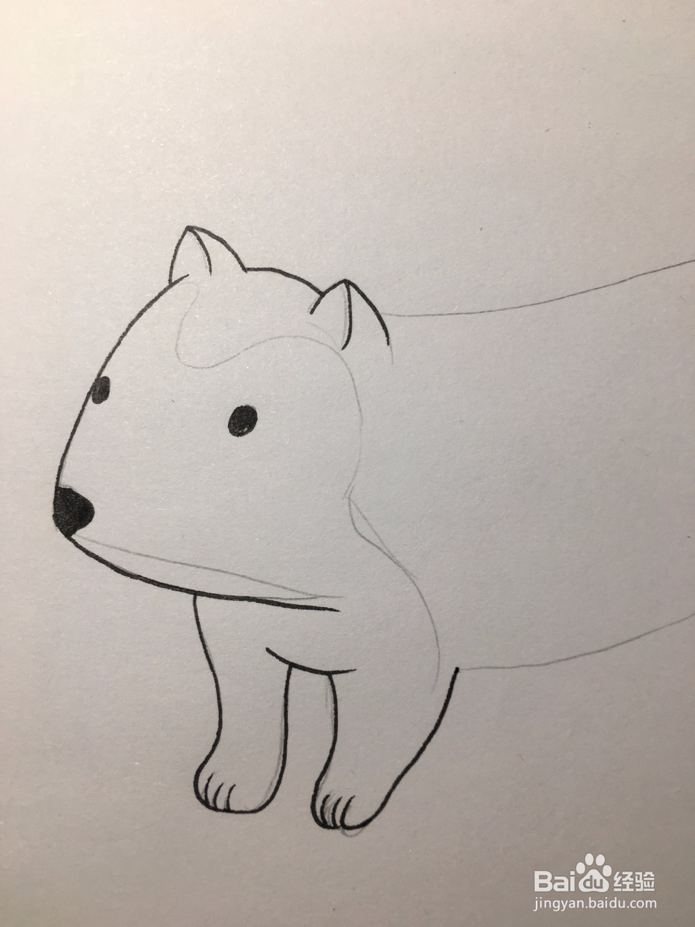 画一只小狗 狗仔简笔画 幼儿简笔画