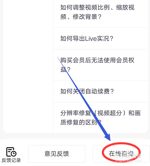 Wink软件怎么联系在线客服