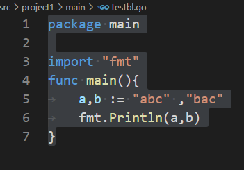 go语言如何声明变量