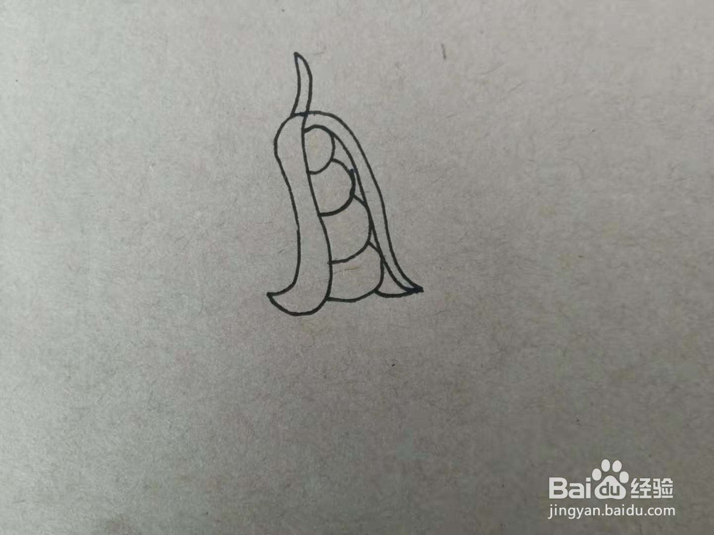 简笔画四季豆
