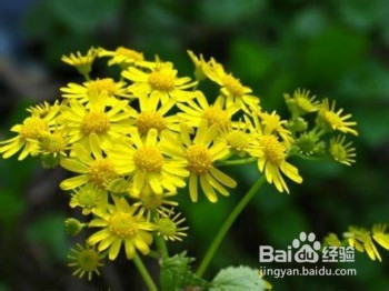 “照顾宝宝妙法”大归类