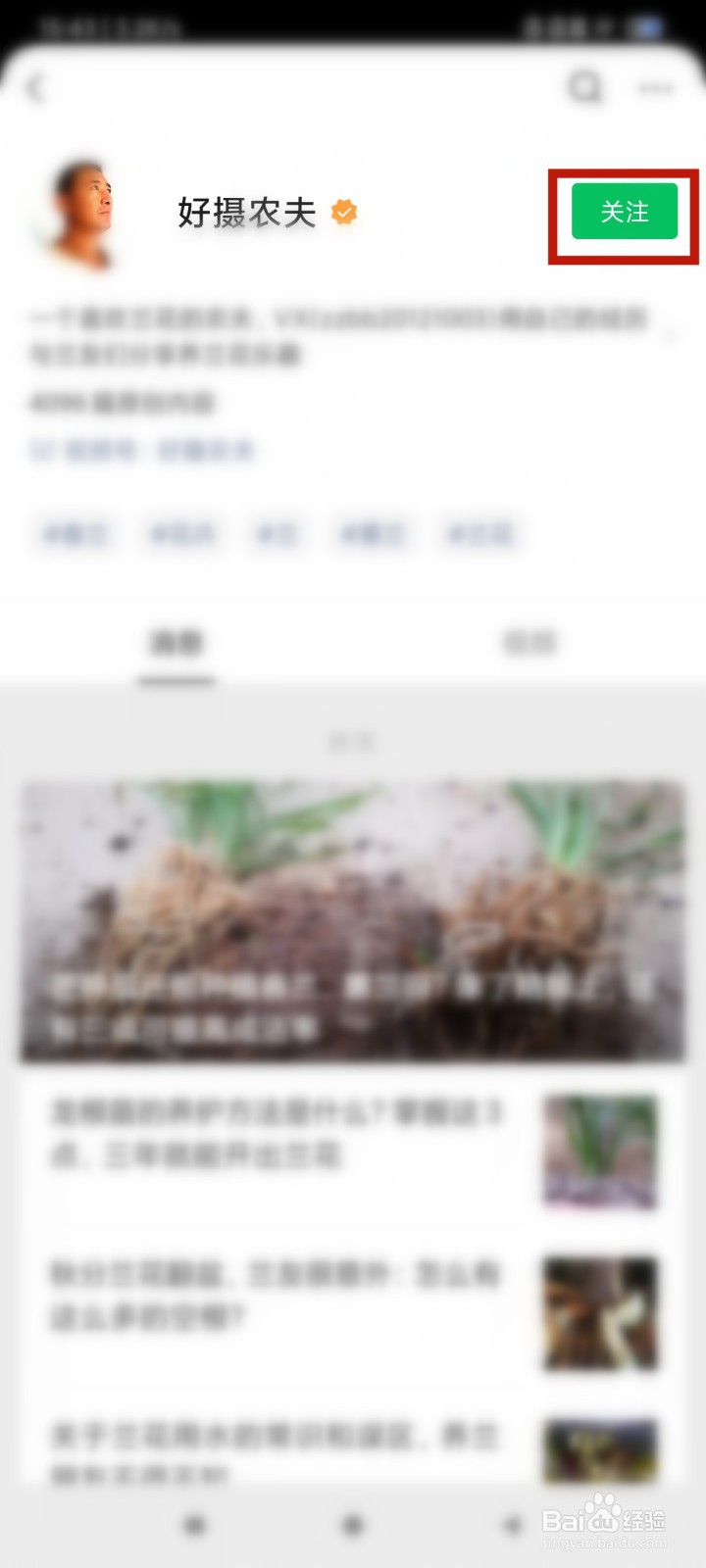 紫藤下山桩怎么种植