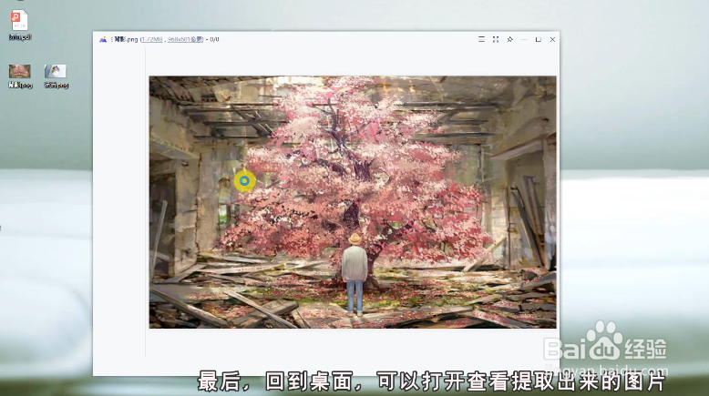 怎么将PDF中的图片提取出来？