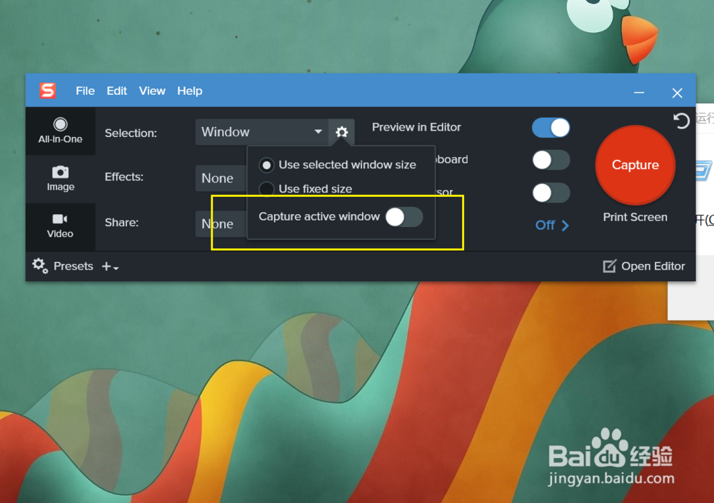 Snagit 2020怎样让非活动窗口透明化