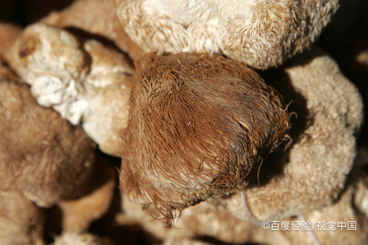 哺乳期能吃青头菇吗