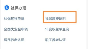 支付宝怎么打印社保缴费明细