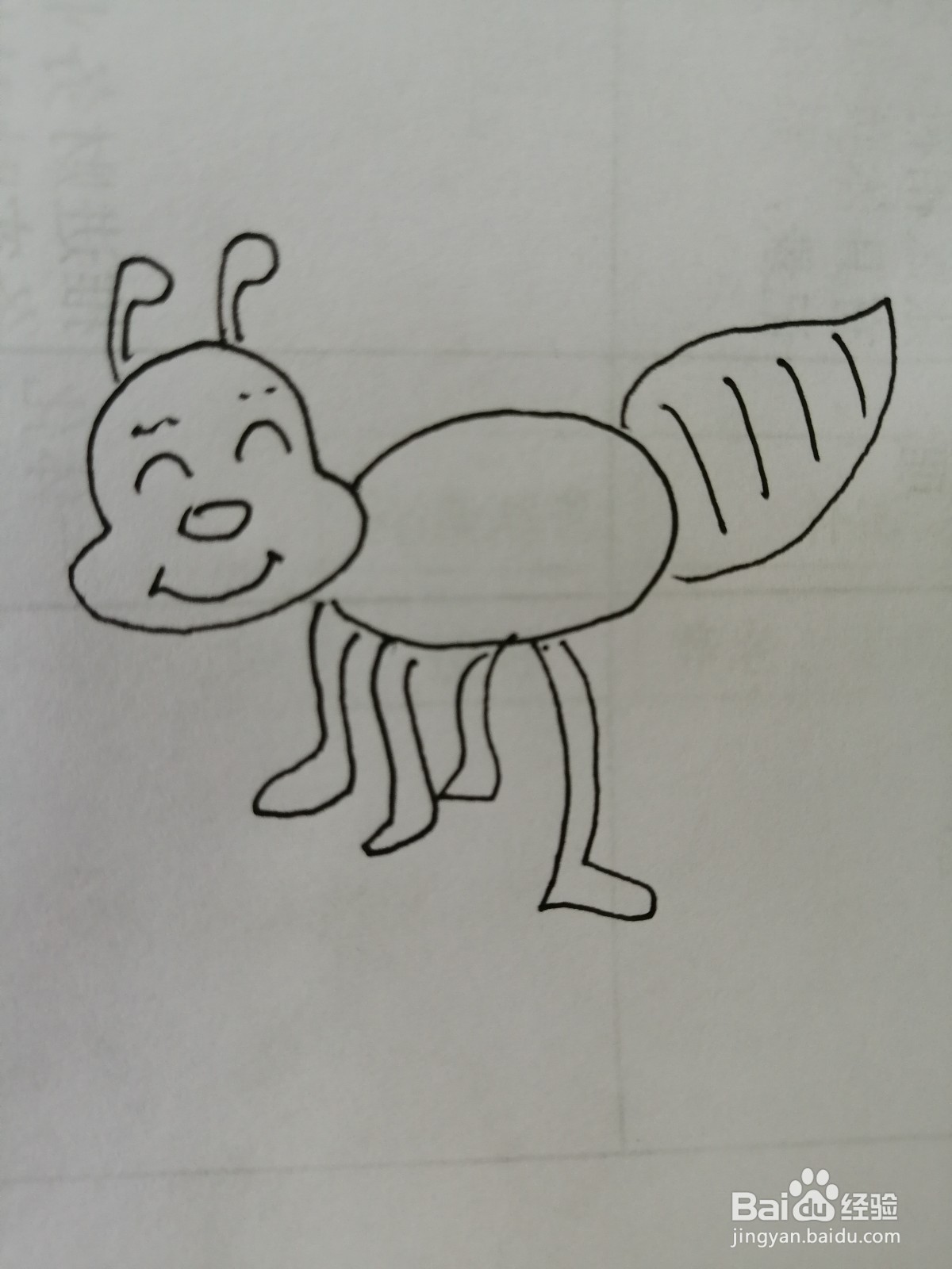 简笔画昆虫怎么画
