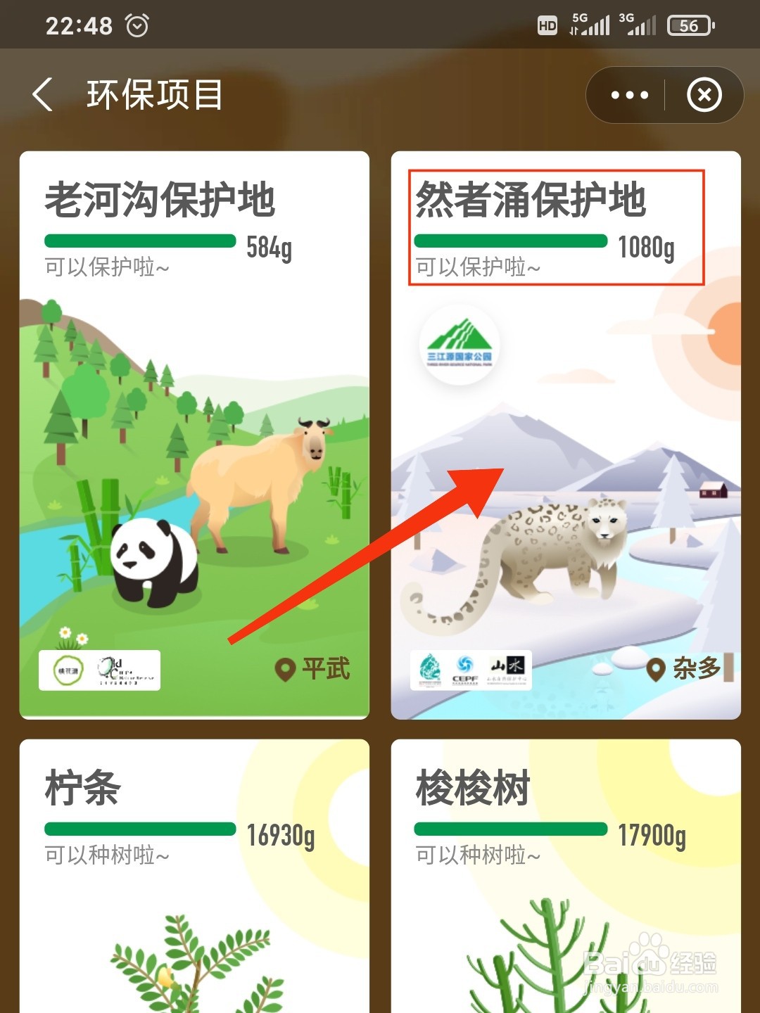 蚂蚁森林怎么申请然者涌保护地