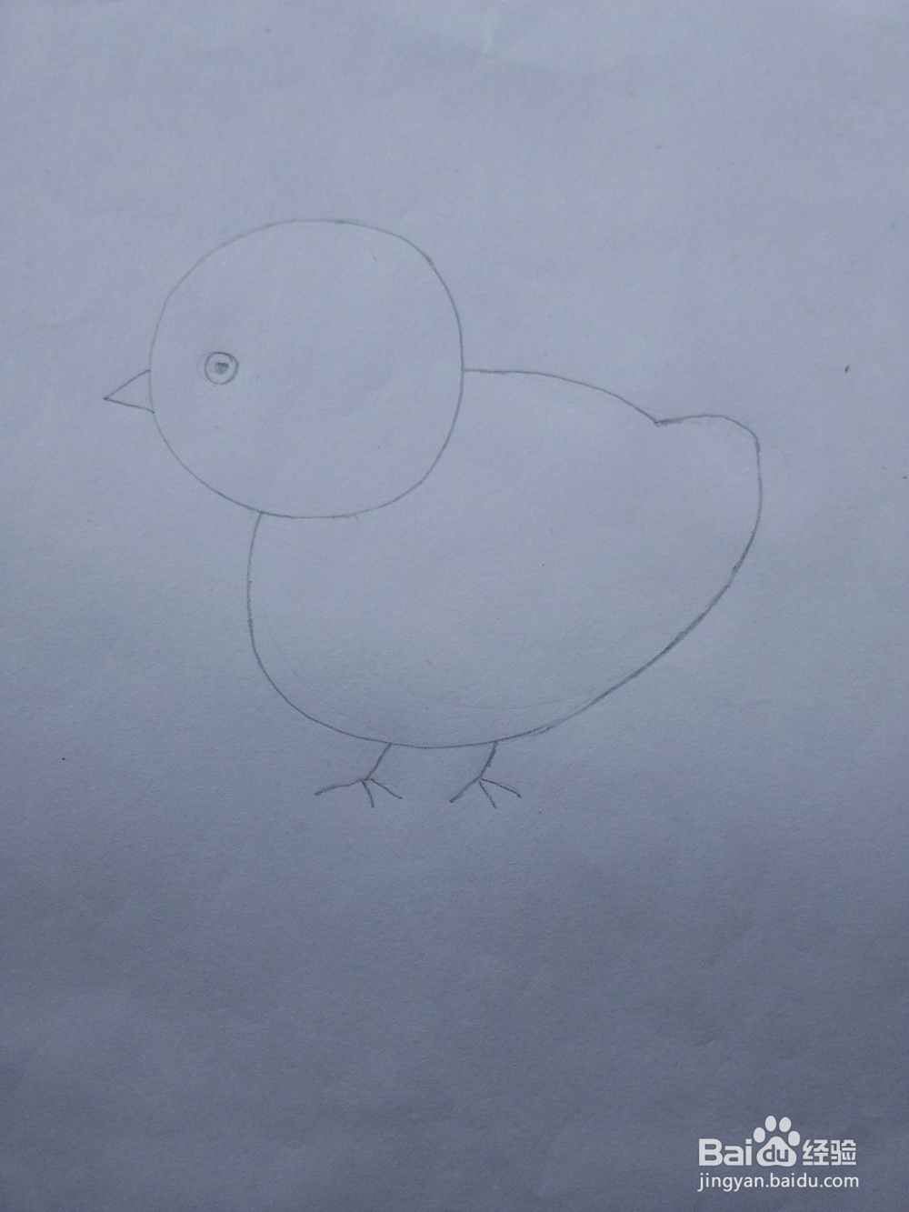 简笔画——怎么画小鸡