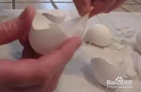 鸡蛋壳除了扔掉还有什么用途