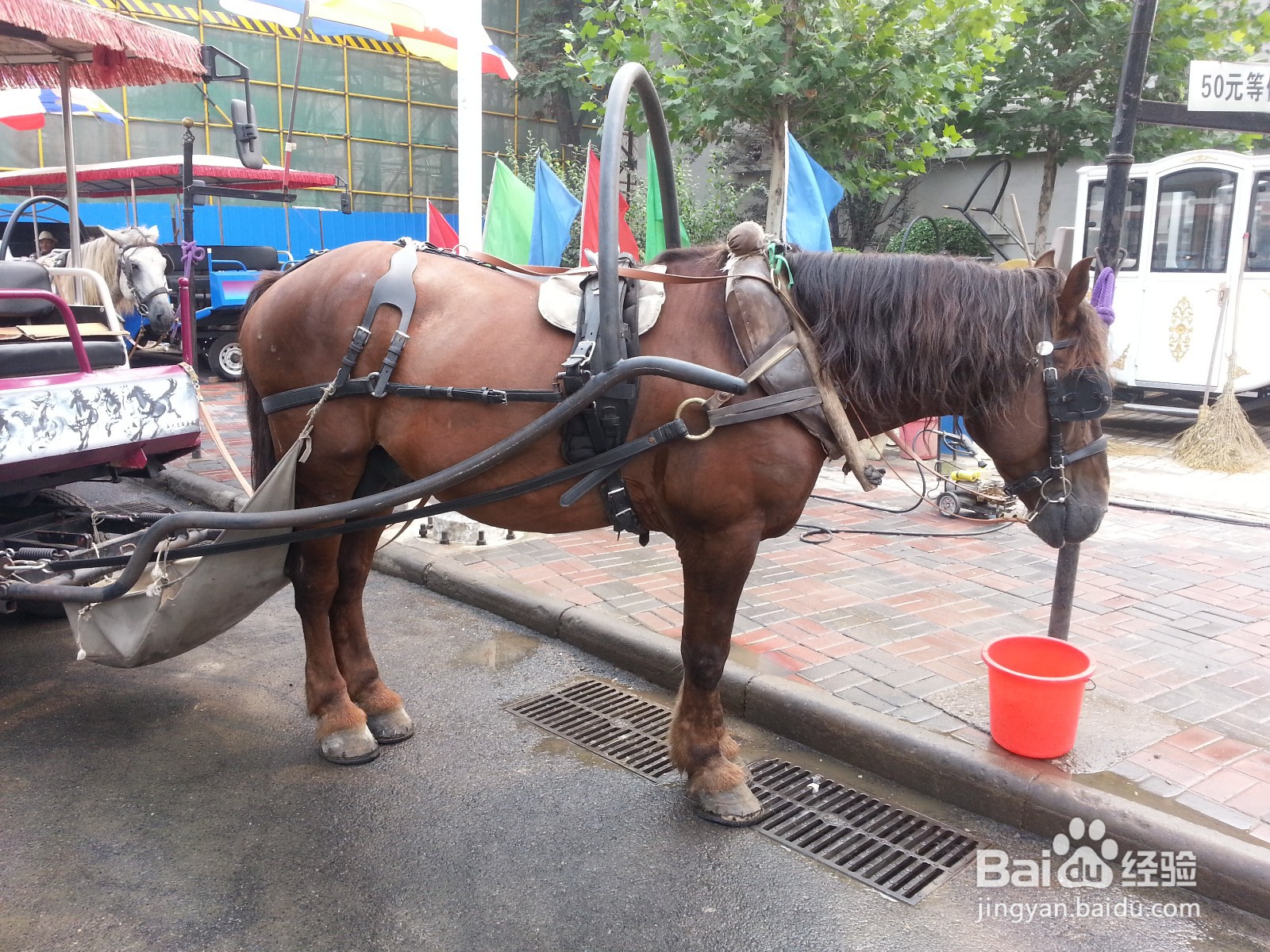 天津2天1晚旅游攻略