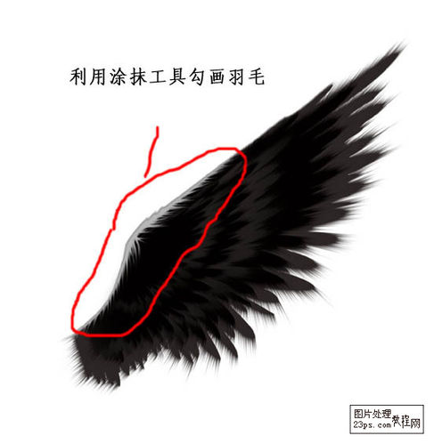 Photoshop自制个性的黑色翅膀