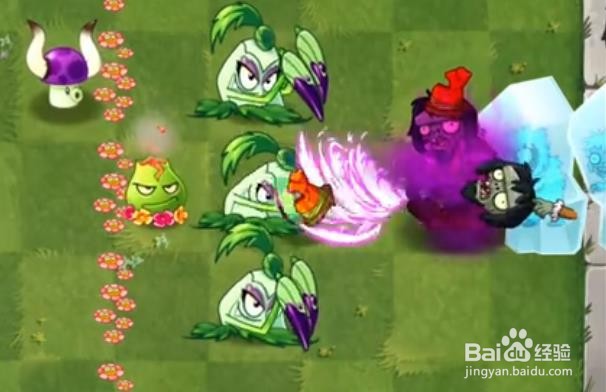 植物大战僵尸尖刺秋葵怎么得