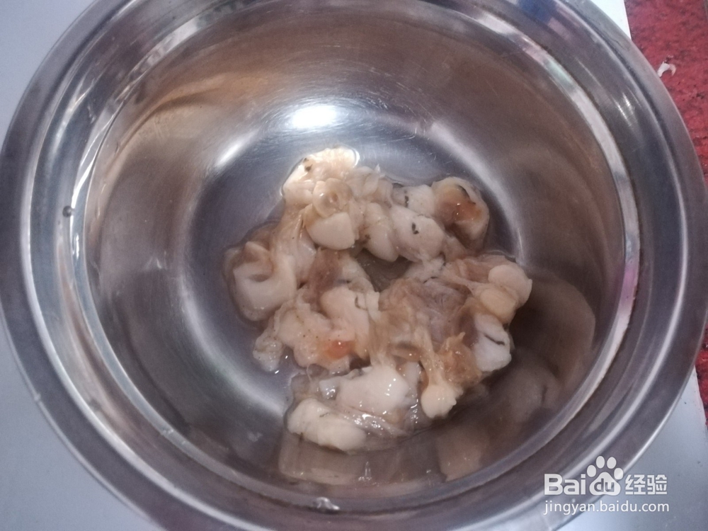 扇贝肉茄汁蝴蝶面攻略