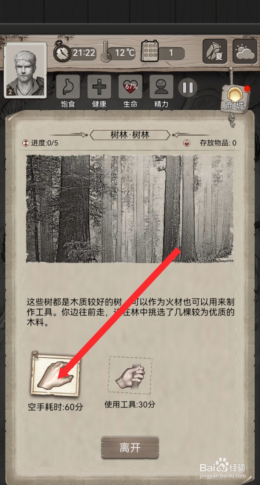 荒野日记如何进入树林探索