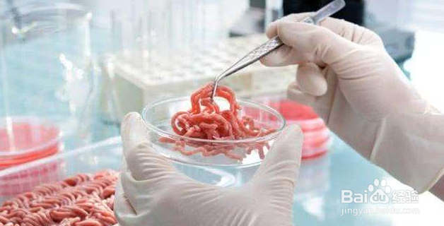 关于人造肉这些你知道吗,人造肉真的可行吗
