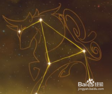 原神荒泷一斗命之座怎么查看