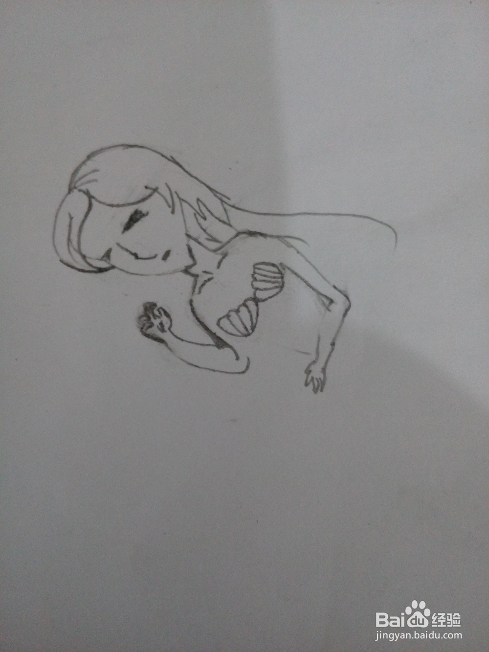 怎样简笔画美人鱼