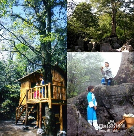 黄冈到张家界自驾游