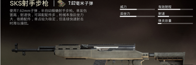 和平精英SLR与SKS怎么样，选哪个好