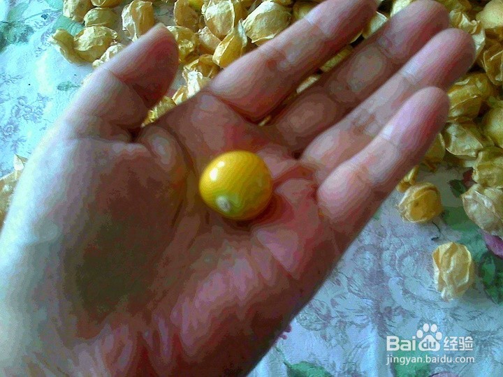 老年人怎样用做游戏的方法和孩子吃姑鸟