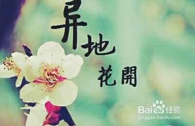 大学生异地恋怎样维持