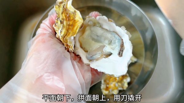 自制金银蒜蓉粉丝蒸生蚝