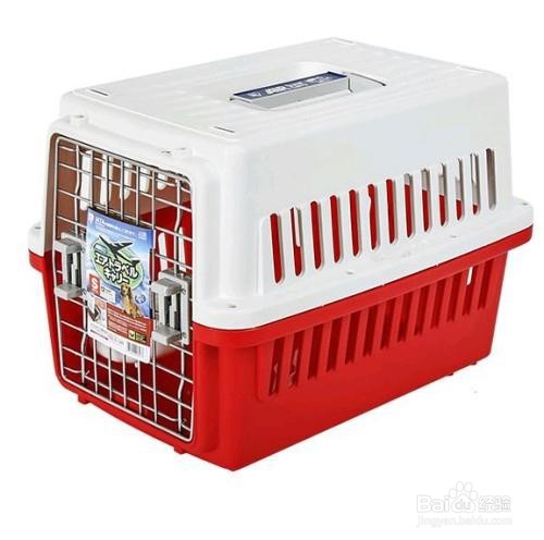 新手准备养猫要注意什么?