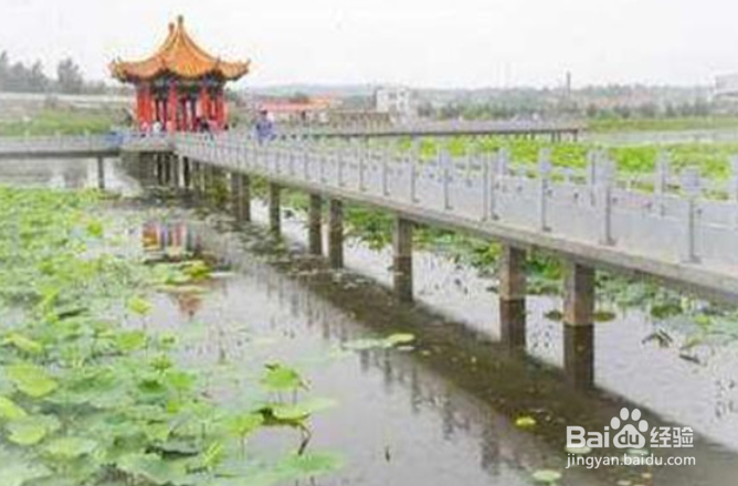 七台河有什么好玩的地方