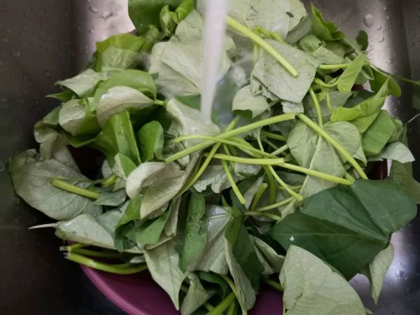 嫩绿蒜蓉地瓜叶