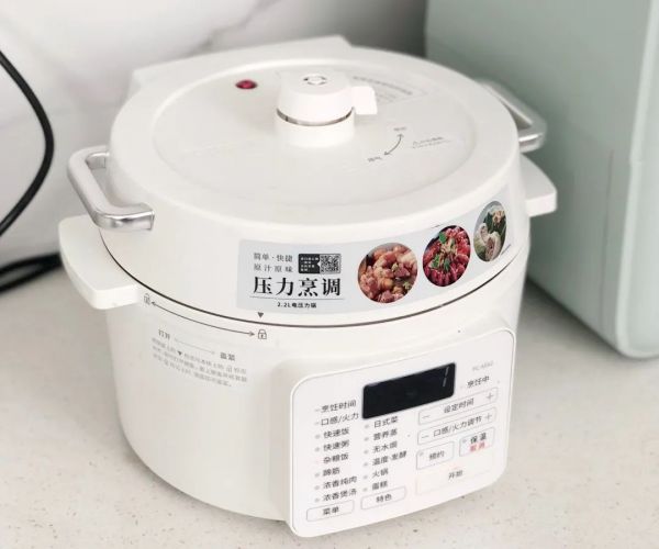 糙米肉松糯米糍