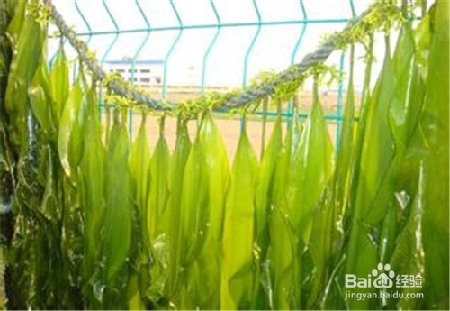 提高记忆力的食物？