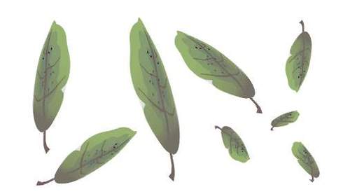 用coreldraw打造逼真静物写生_2