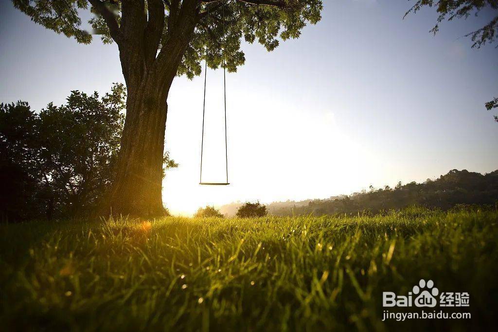 人生没有标准答案，生命却有无限可能