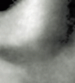 PHOTOSHOP打造美女性感纹身