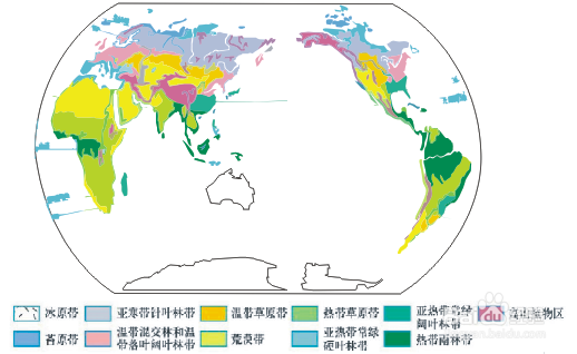 世界气候分布的简笔画