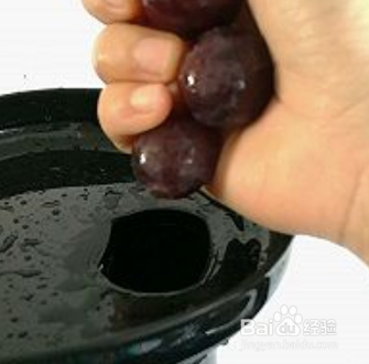 葡萄酸奶汁的做法