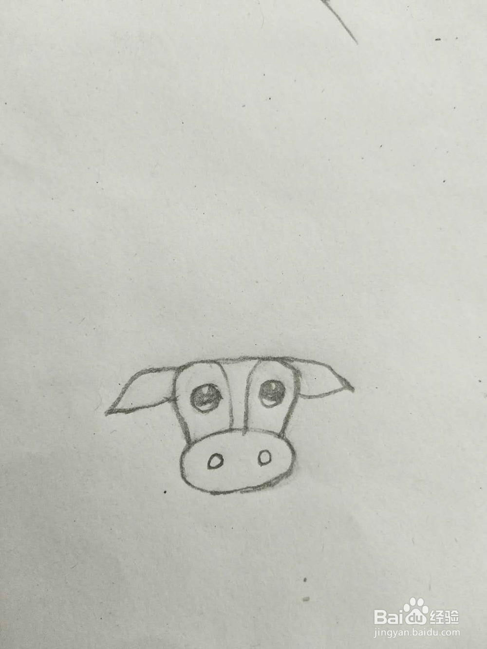 简笔画牛怎么画呢