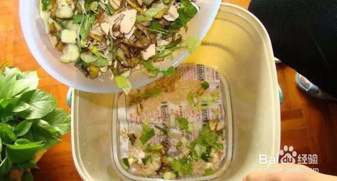 厨余垃圾怎么快速处理分类