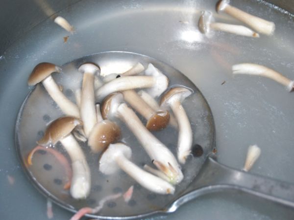 荠菜炒春笋蟹味菇