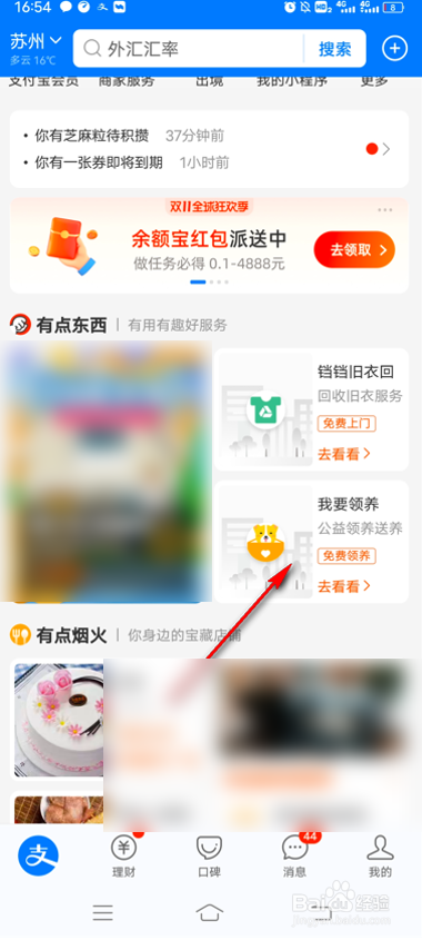 支付宝怎么查看宠物常见问题