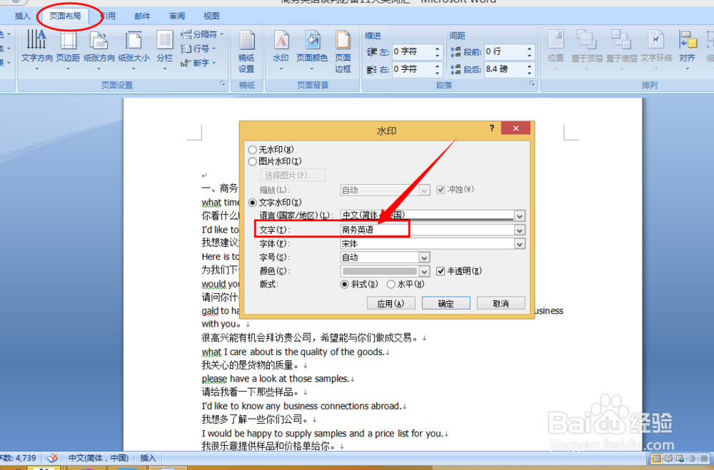 怎样为文本添加水印