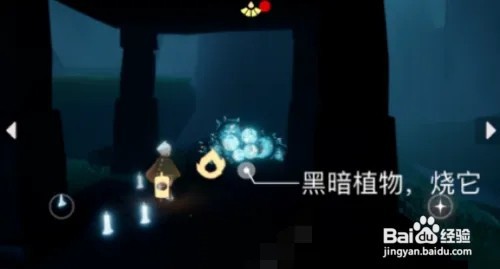 《光遇》2023年1月8日每日任务怎么做