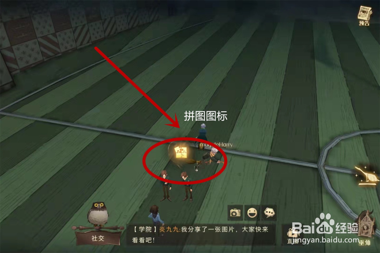 哈利波特怎么回事有一支球队只有一名击球手拼图