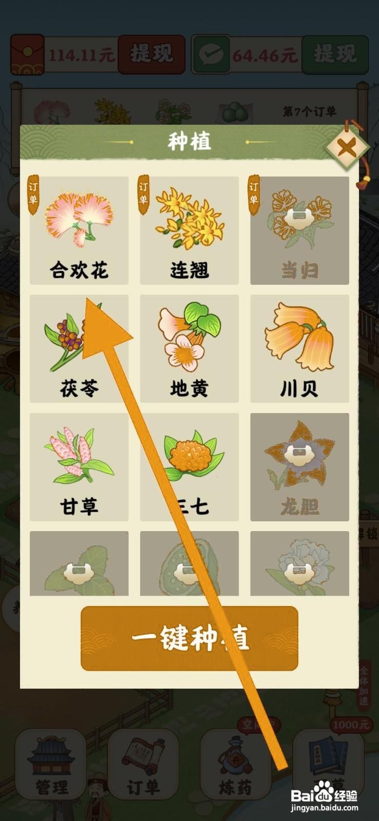 杏林世家如何成功种植合欢花