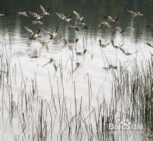 怎样用线条营造照片空间感