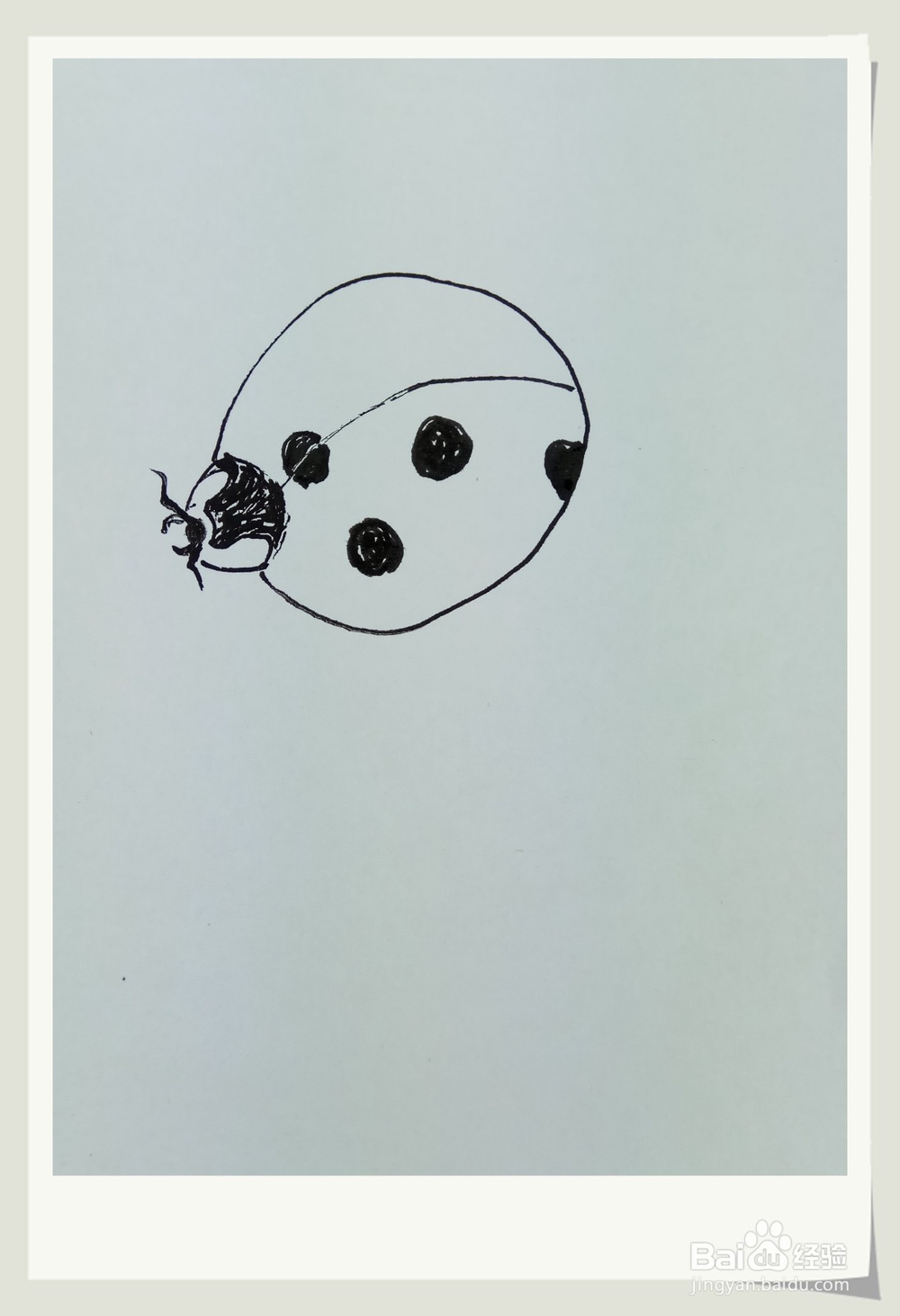 怎样画简笔画“小小七星瓢虫”